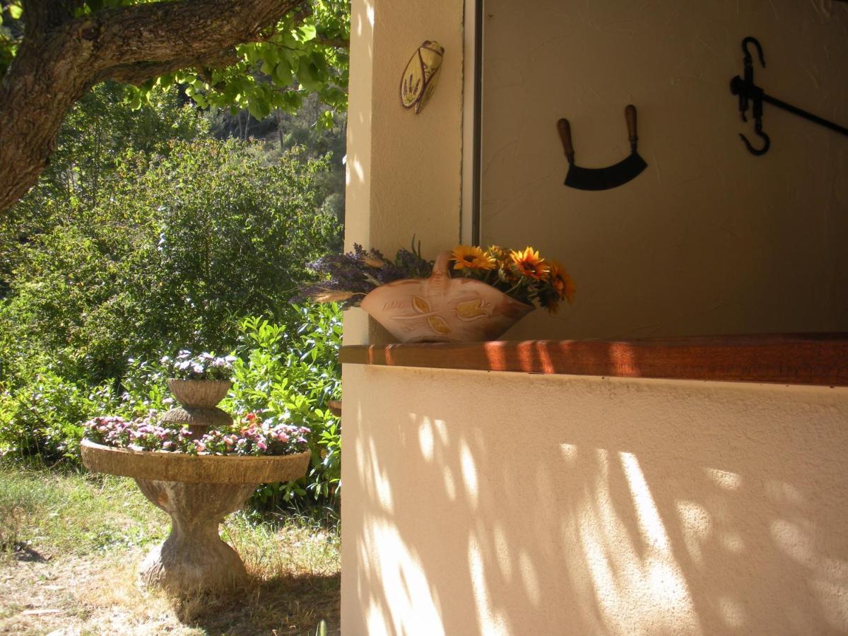 Lou Mas Dau Paigran Bed and Breakfast Saint-Blaise  Exteriör bild
