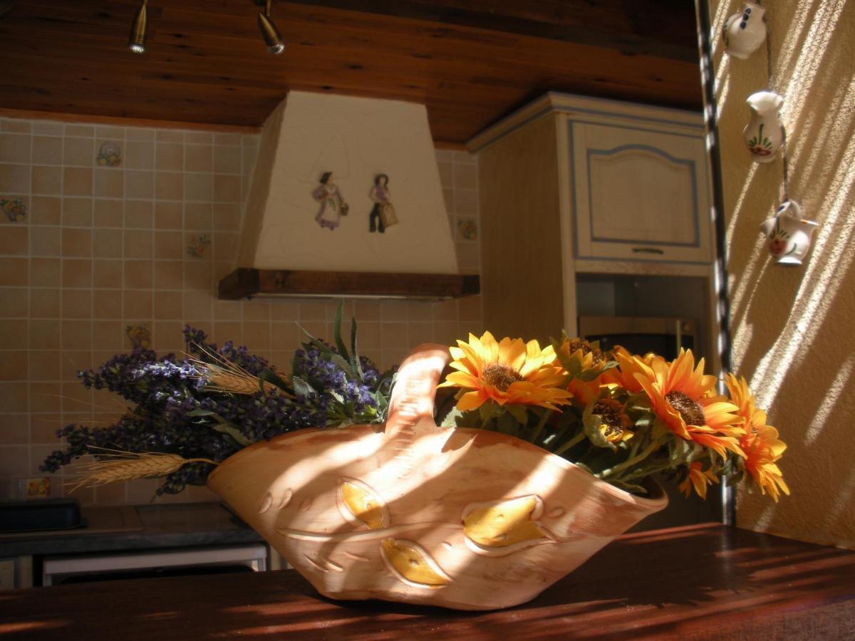 Lou Mas Dau Paigran Bed and Breakfast Saint-Blaise  Exteriör bild