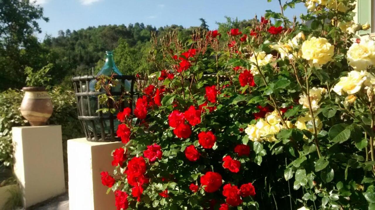 Lou Mas Dau Paigran Bed and Breakfast Saint-Blaise  Exteriör bild