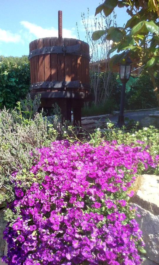 Lou Mas Dau Paigran Bed and Breakfast Saint-Blaise  Exteriör bild