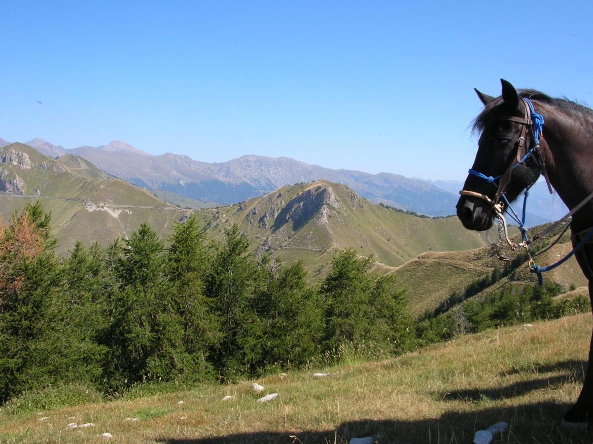 Lou Mas Dau Paigran Bed and Breakfast Saint-Blaise  Exteriör bild